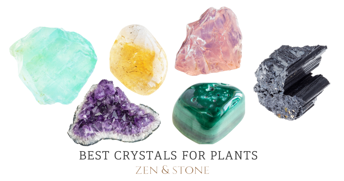 Best Crystals for Plants