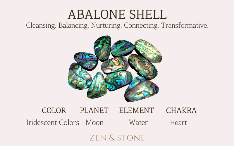 Abalone Shell – Meaning, Uses, & Healing Properties