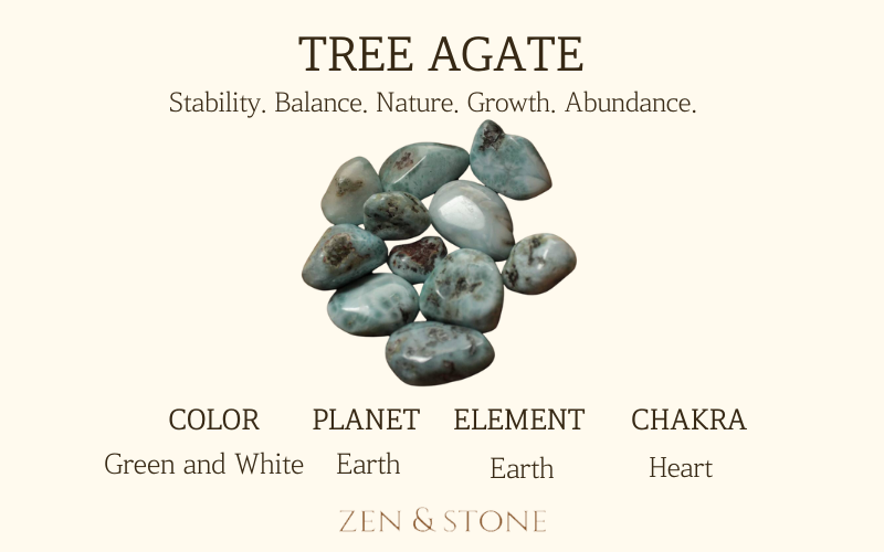 Tree Agate – Meaning, Uses, & Healing Properties