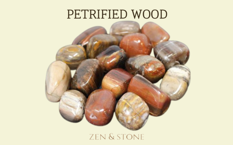 Petrified Wood Healing Properties, Petrified Wood Features