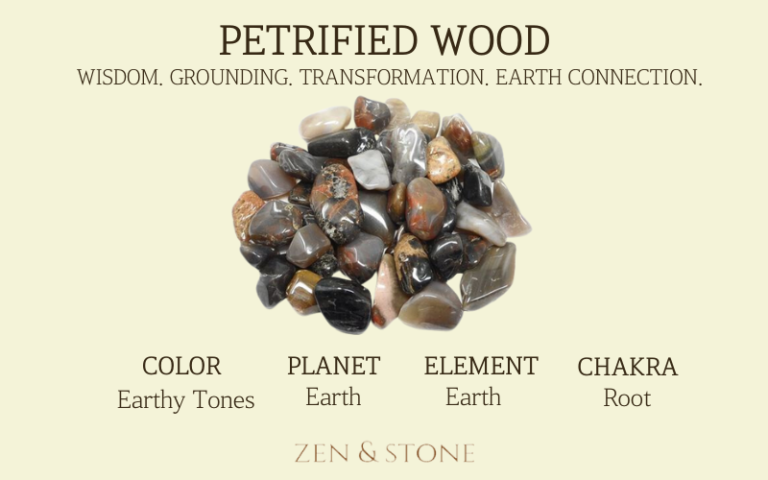 Petrified Wood, Petrified Wood Healing Properties, Petrified Wood Uses