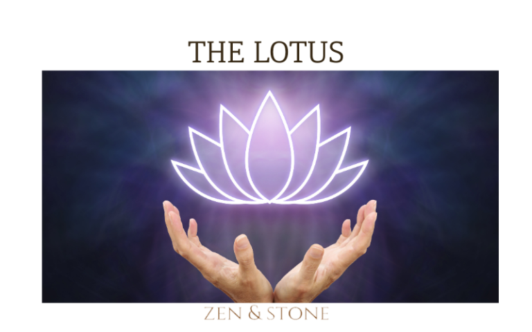 The Lotus, Spiritual Symbol Meaning