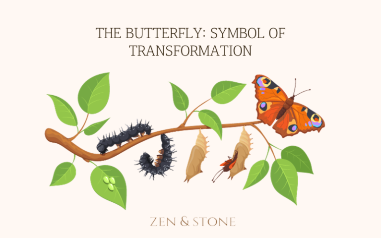 The Butterfly_ Symbol of Transformation