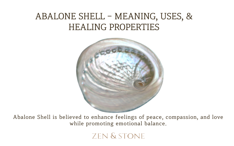 Abalone Shell- Meaning, Uses, & Healing Properties